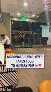 266K views · 4.2K reactions | This truly brightened up my day 殺 | Bright Side | Facebook