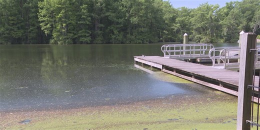 Fecal coliform found in Greenfield Lake