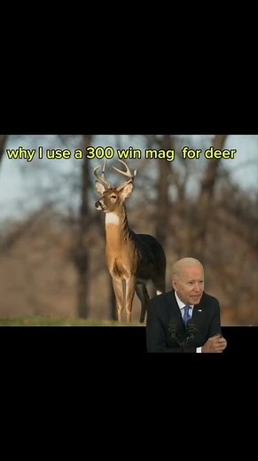why I use a 300 win mag for deer #deerhunting