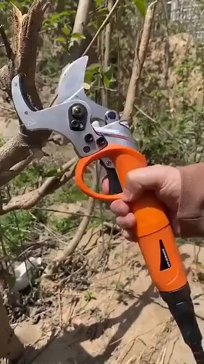 281K views · 1.2K reactions | Power scissors revolutionize garden maintenance with advanced cutting technology  Explore battery life considerations and safety features that make trimming tasks more efficient while reducing physical strain. | Parramore Katrina Gerber | Facebook