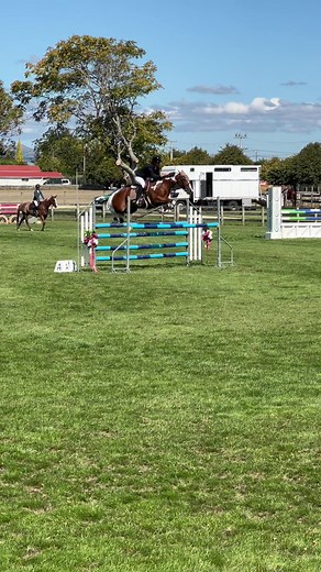 Millie jumped amazing in the 1.20 #onthisday #bestfriends🥰🥰forever #blowthisuptiktok✅🔥🔥💯nfl #blowthisupformeplease #nz #showjumpinghorse_cessy #makemefamous #noscopenohope🐴😍 #showjumpinghorse #tiktokshowjumping