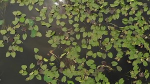 Beyond Braid Is so much more than ordinary fishing line!! Give yourself the best chance at catching more fish with Beyond Braid Braided Fishing Line. Grab yours here: https://beyondbraid.com/collections/braided-line/products/beyond-braid-blue-moss-camo | Beyond Braid