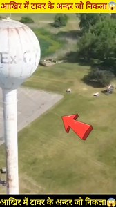 2.5M views · 63K reactions | Top mind blowing facts about tips short video amazing facts fb #reels #tending #viral #tainting #fact #trending | fact c | Facebook