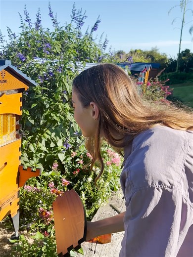 Overcoming Your Beekeeping Fears: Join the Flow Community