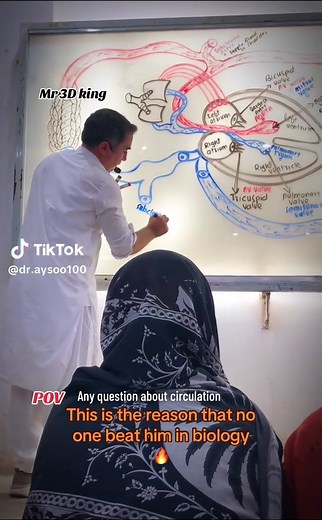 Diagram Specialist King Shah Jahan in Biology Circulation | 3D Expert POV