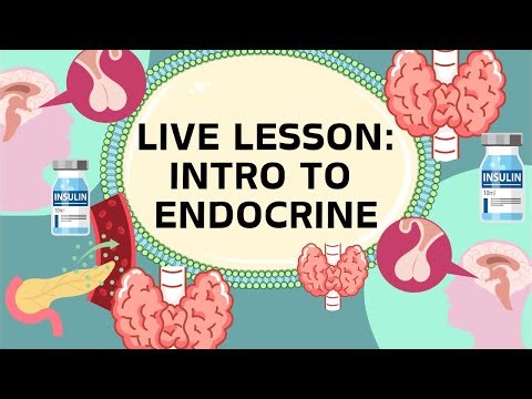 ENDOCRINE Live lesson | Prep for Exams