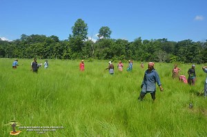 Nepal Terai Forest Restoration