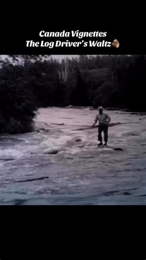Magyar Képek | Hungarian Pictures on Instagram: "🎶 The Log Driver’s Waltz — one of Canada’s most beloved animated shorts. Created by the National Film Board of Canada in 1979, it celebrates log driving, once a vital part of Canada’s logging history. 🎶 A rönkhajtó keringője — Kanada egyik legismertebb animációs kisfilmje. A Kanadai Nemzeti Filmalap készítette 1979-ben, és a rönkhajtást mutatja be, amely egykor a fakitermelés fontos része volt. 📹 nowthatscanadian via Instagram #canada #logdrive
