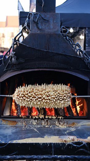 Xenia 🌙 | your favorite Vilnius creator (probably) | Šakotis, meaning “tree cake,” gets its name from its pine tree-like shape with dripping “branches” and tree ring layers inside. It’s a... | Instagram