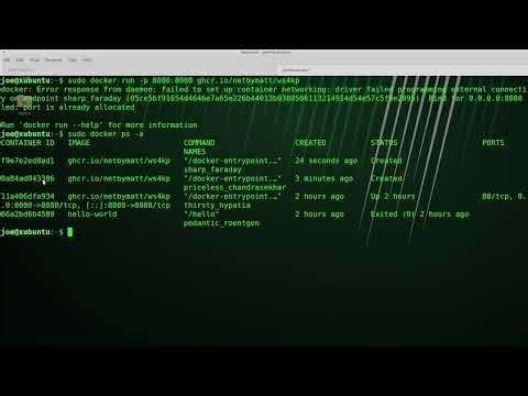 Stop And Remove Docker Container Processes