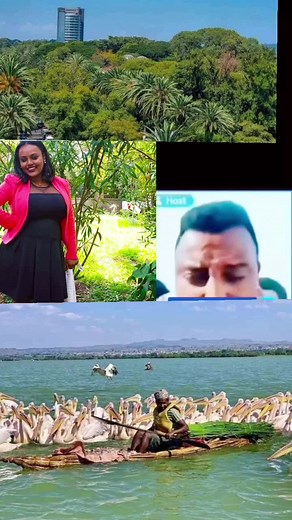 #amharatiktok #አማራ #ethiopian_tik_tok #habeshatiktok #fyp #foryou #viral