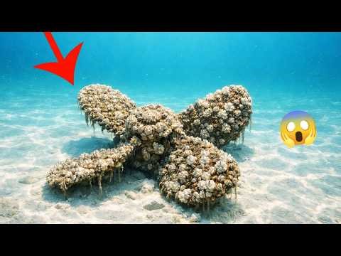 Massive Ship Propeller Restoration Compilation | Extreme Barnacle Removal ASMR