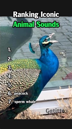 Ranking Iconic Animal Sounds #animalvideos #shorts #animalsounds #viral