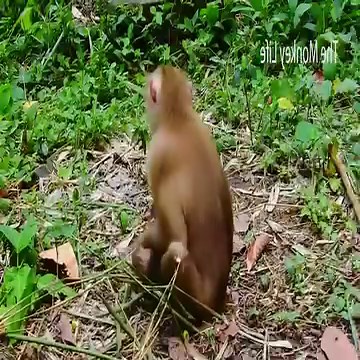 OMG....WHAT'S HAPPENING TO BABY BRADY | Jessica Day