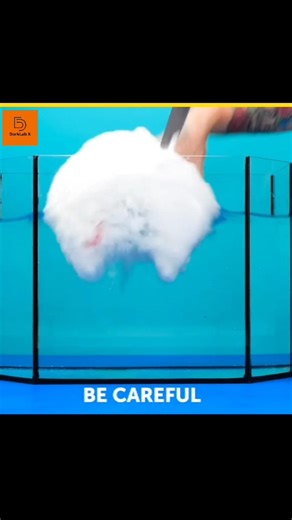 The Hidden WORLD of Easy Science Experiments at Home