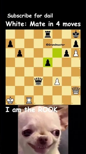 Queen sac, Rook mate for the Victory!!! #chesspuzzle #checkmate