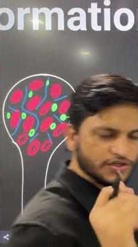 Red Bone Marrow | Stem cells #redbonemarrow #stemcells