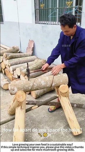 Drilling Logs for Mushroom Cultivation – Preparing the Perfect Home for Mycelium 🔩