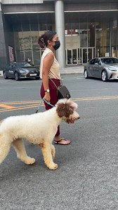 54K views · 1.8K reactions | Wishing you less stress, less tumba but not less gulat dahil madami pa tayong experiment na gagawin. Happy Birthday Mame. ❤️ | The Pinoy Dog Whisperer | Facebook