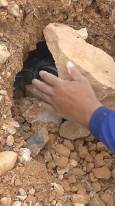 466K views · 1.4K reactions | best metal detectors for gold and silve #goldhunter #shortsvideo | HOME GOLD | Facebook