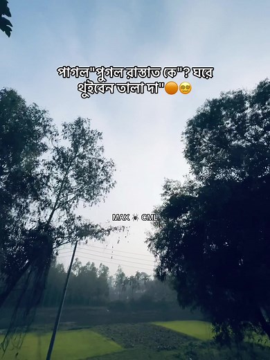 পাগল পুগল রাস্তায় খেলার নতুন নাম