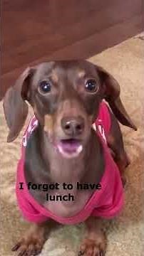 Moonpie Starbox Tik Toks compilation February 2020