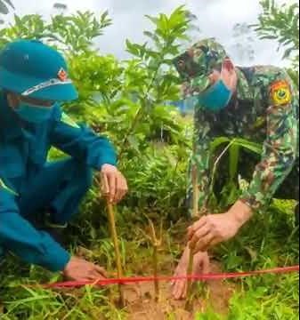 VN đối phó hàng rào biên giới của TQ bằng biện pháp ít ngờ tới