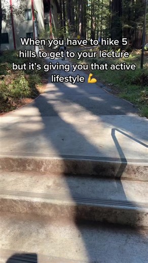 Exploring the Lush Campus of UC Santa Cruz