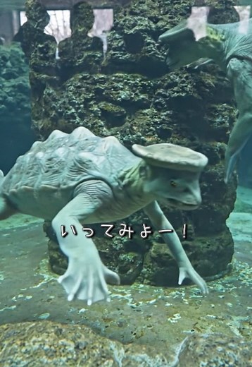妖怪テーマパークで河童に会ってきた！