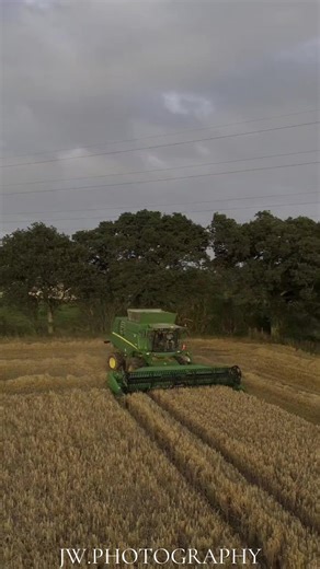 Spring Barley Harvest Preparation in 2025