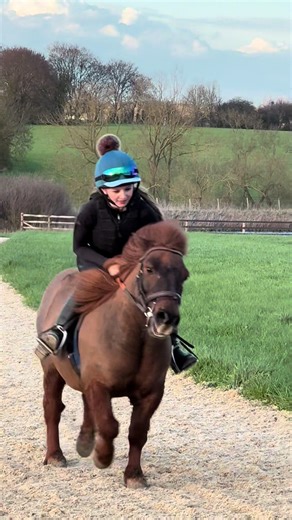 Exciting Adventures with Duble the Shetland Pony