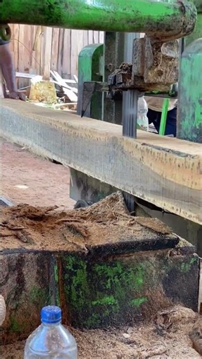 Perfect Log Cutting Technology 🎯 #shorts #woodcutting #oddlysatisfying #woodworking