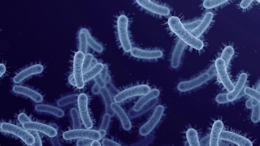 From anti-antibiotics to extinction therapy: how evolutionary thinking can transform medicine