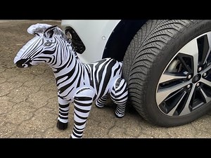 Only Inflatable Pop with Beach Ball Horse- Experiment car- crushing Chrunchy and soft things