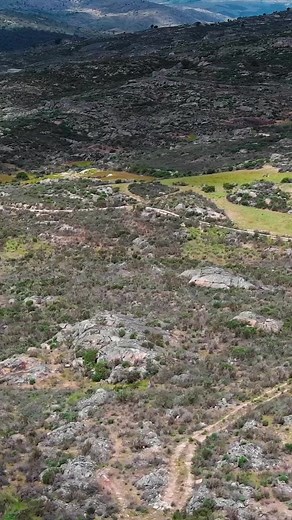 9.3K views · 223 reactions | Watch the moment when a herd of 15...