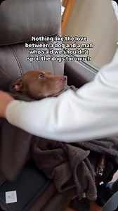 Opie has got him trained right 😅🤎 #pitbullmix #bullybreedlover #bullymix | Just Opie Things