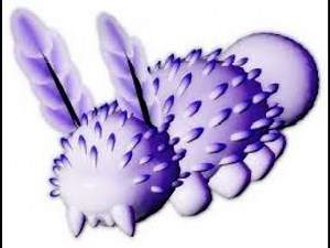 Making a very expensive outift in catalog avatar creator