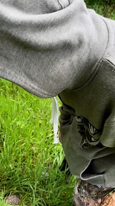 Box turtle 🐢 | Growing Up Outthere TV