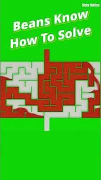 Me and the Particles Solving Mazes at 3AM 🥱 #simulation #satisfying