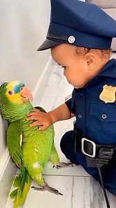1.6M views · 28K reactions | Tiny Officer vs VIP Parrot Drama ...