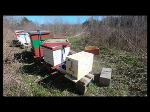 Moving a weak colony to a NUC, Entrance size explanation and straps