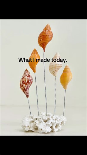 What I made today. A Luminous Tulip shell display on crystalized coral. #diy #craft #shell #handmade