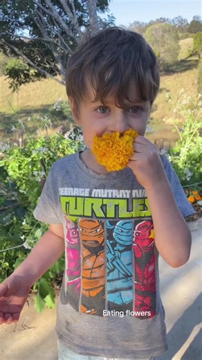 Kids Eating Edible Marigolds: A Funny Kid Moment