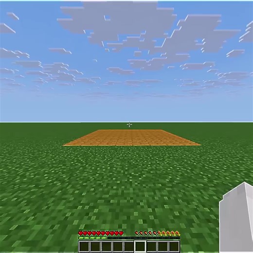Creating a Sign Carpet Trap in Minecraft