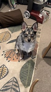 AESOP ROCK HOLIDAY SALE Now through 12.3.24 Dents & Dings - $12 Vinyl & $5 CD Mystery Boxes - Vinyl & CD Boxes 25% Off - All Music 30% Off - All Apparel 40% Off - All Accessories aesoprock.com | Aesop Rock