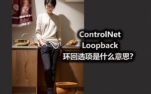ControlNet Loopback 环回选项是什么意思？