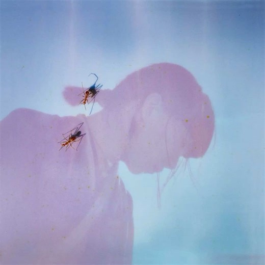 Ichiko Aoba's Angelic Voice & Quiet Life