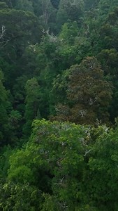 476 reactions · 42 shares | Takayna in north-west Tasmania is one of...