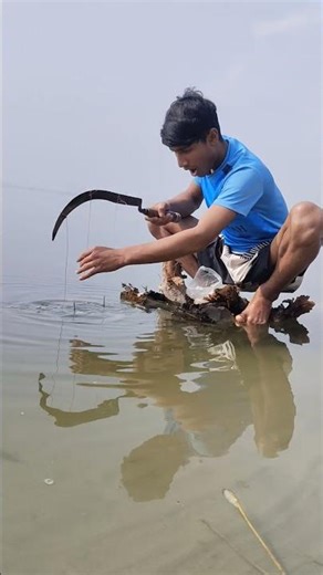 Traditional fishing idea with unique hook traps #fishing #fishinglife #reels