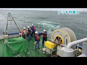 音波探査の海上作業